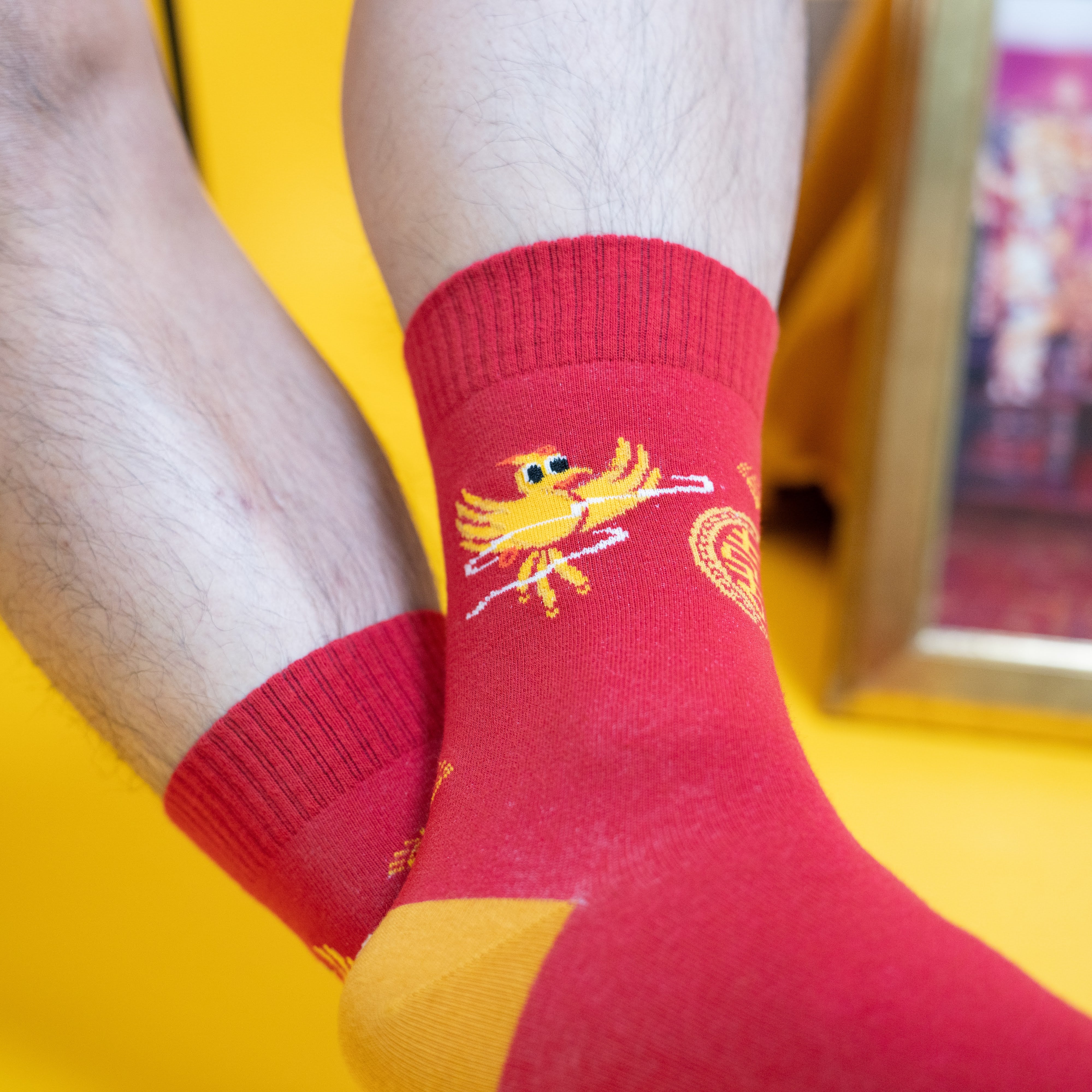 Dragon Phoenix Happiness Socks