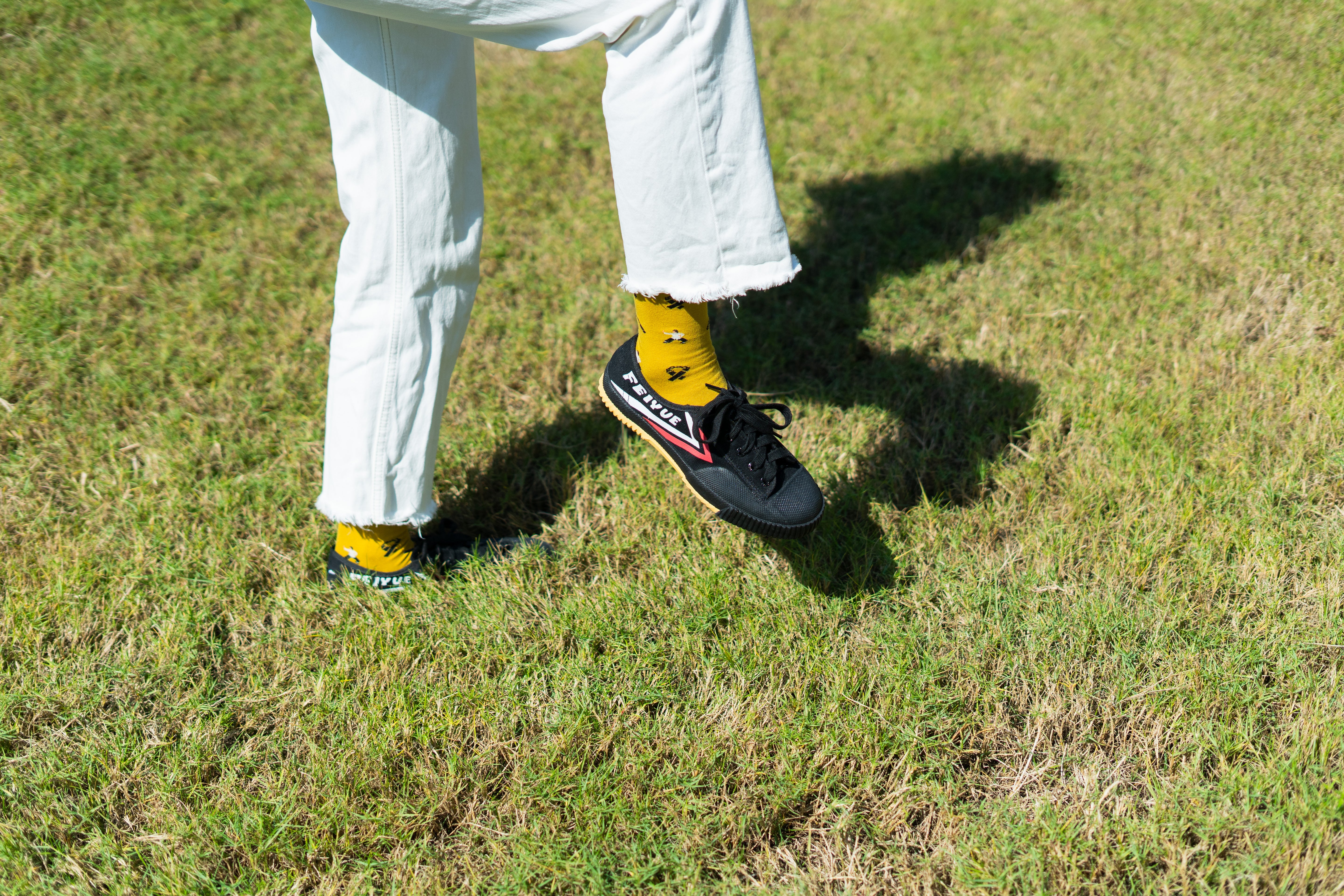 Kung Fu Socks