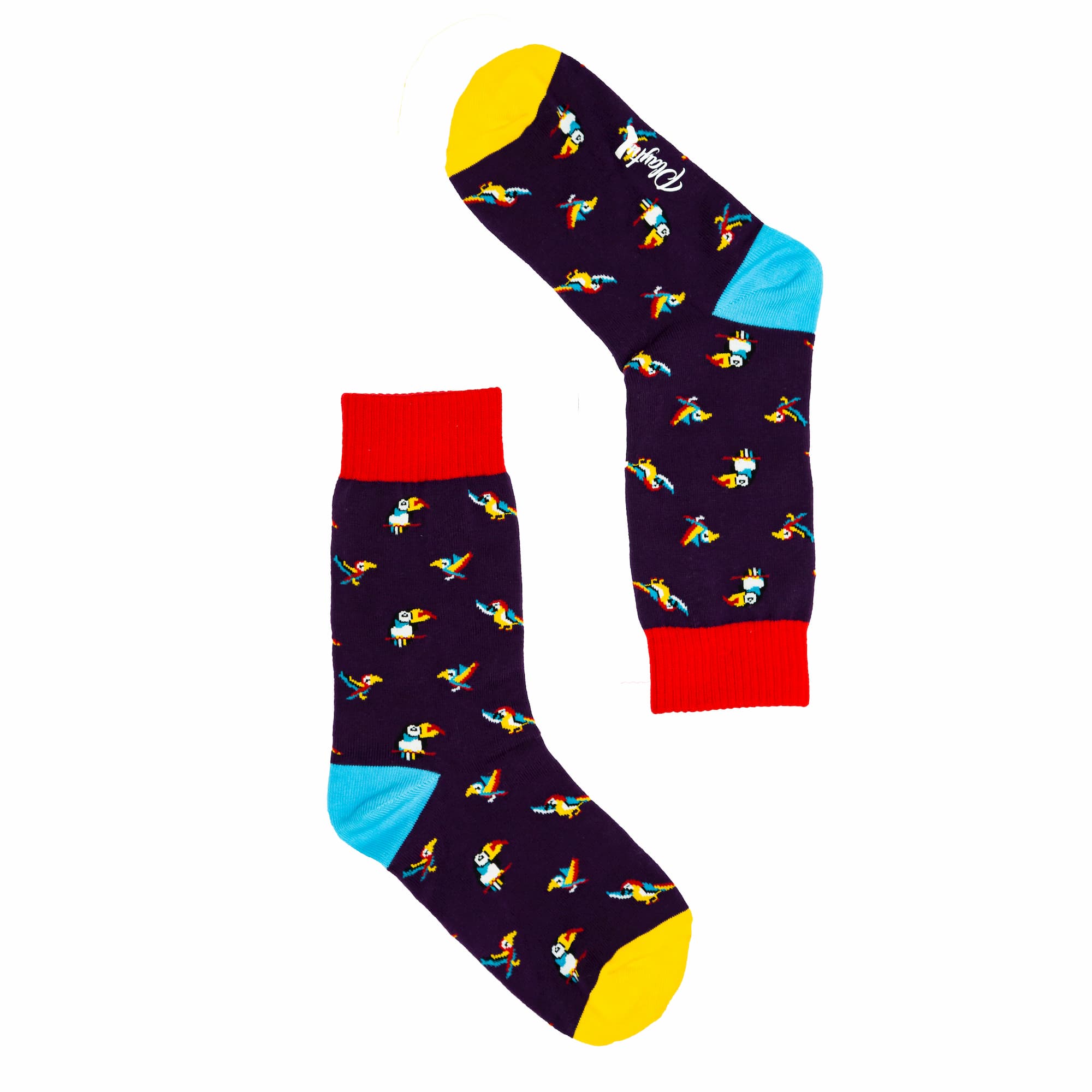 Party Parrot Socks