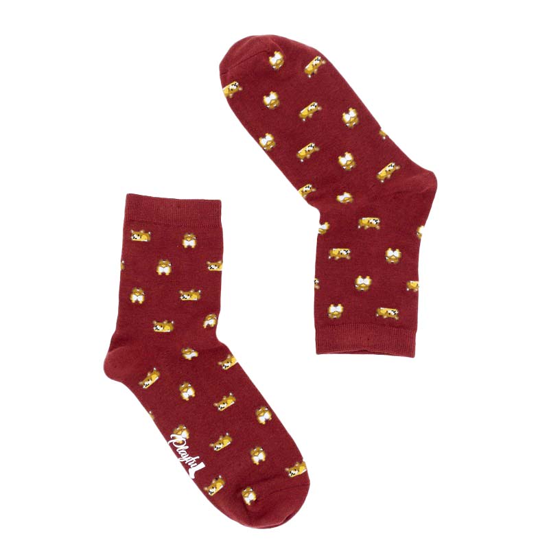 Corgi Socks