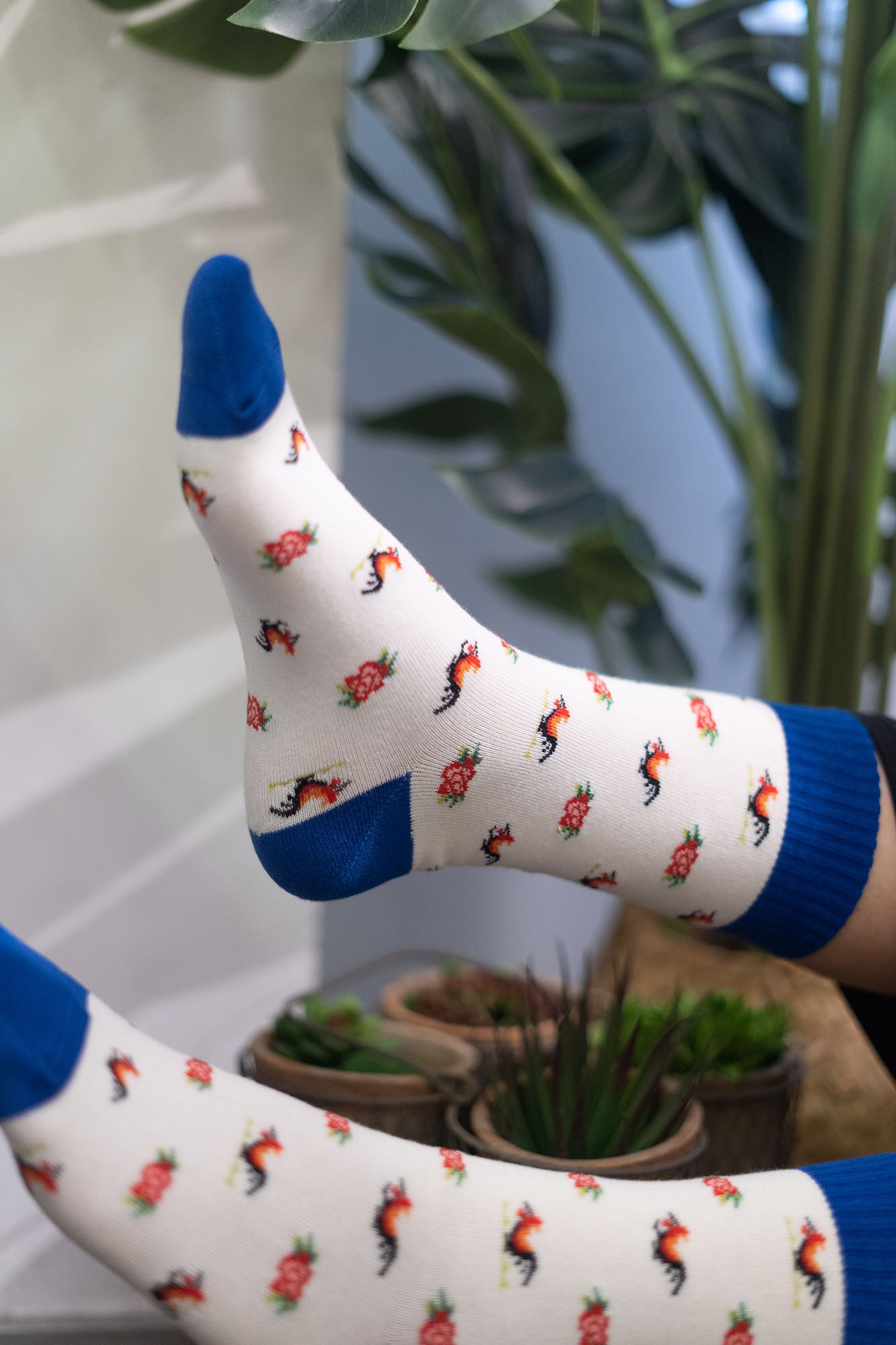 Rooster Socks