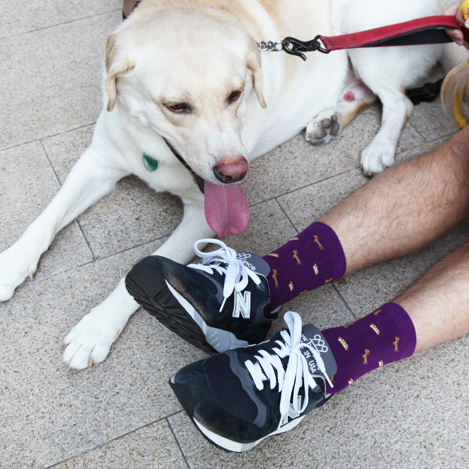 Wiener-dog Socks