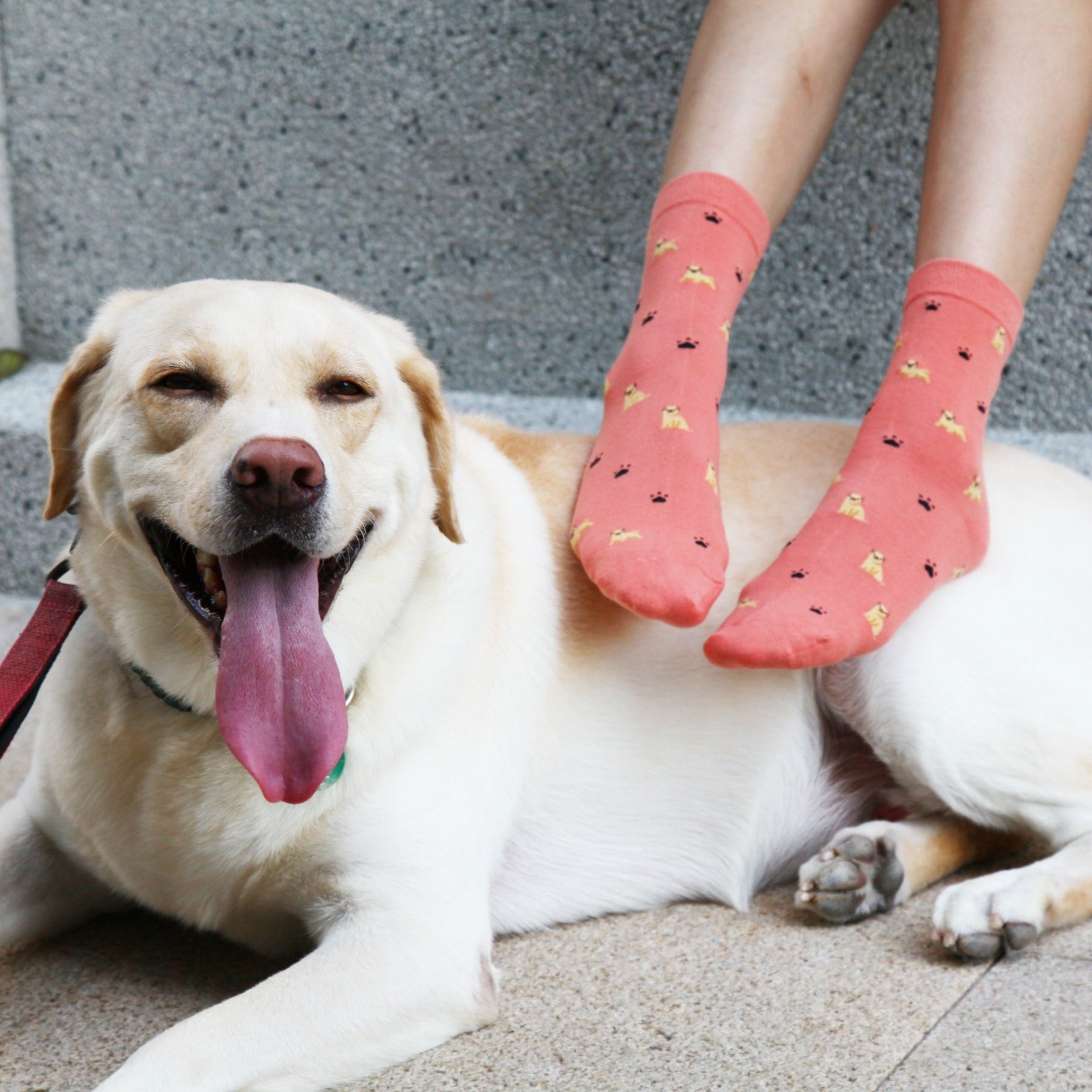 Pug Socks